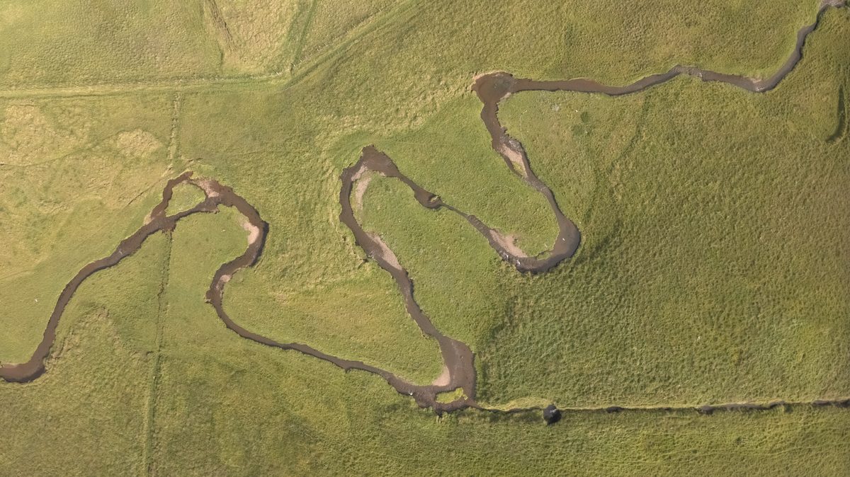 The author’s drone photograph of a stream winding through upland grass, seen from straight above, as Raelux develops the DNG by default: flat, pale green