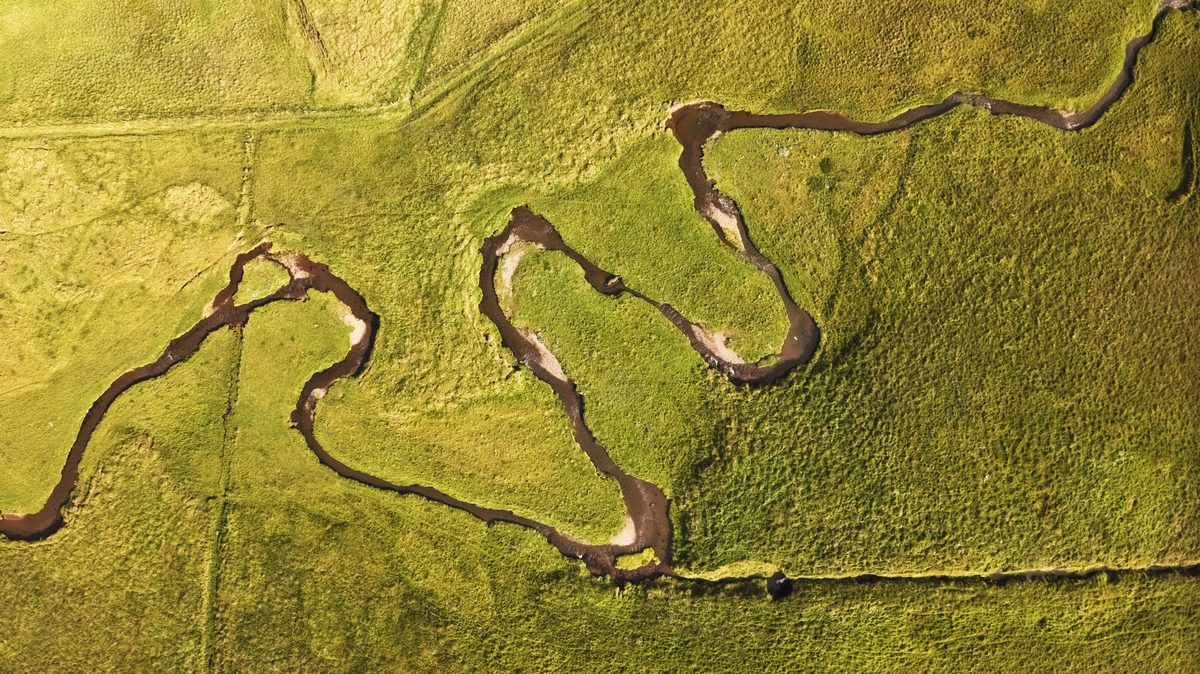 The same frame with the author’s edit: warm yellow-green grass with pronounced texture and a darker stream