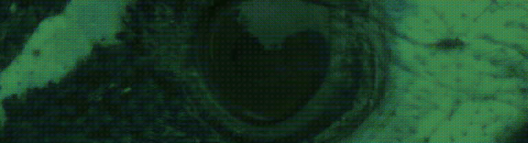 An enlarged grid of red, green and blue squares, darker where the eye is: photosites of the RAW around the peafowl’s eye
