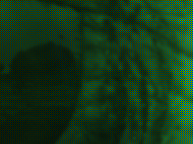 Red, green and blue photosites of the RAW at the edge of the peafowl’s eye, one filter colour each, darker in the pupil