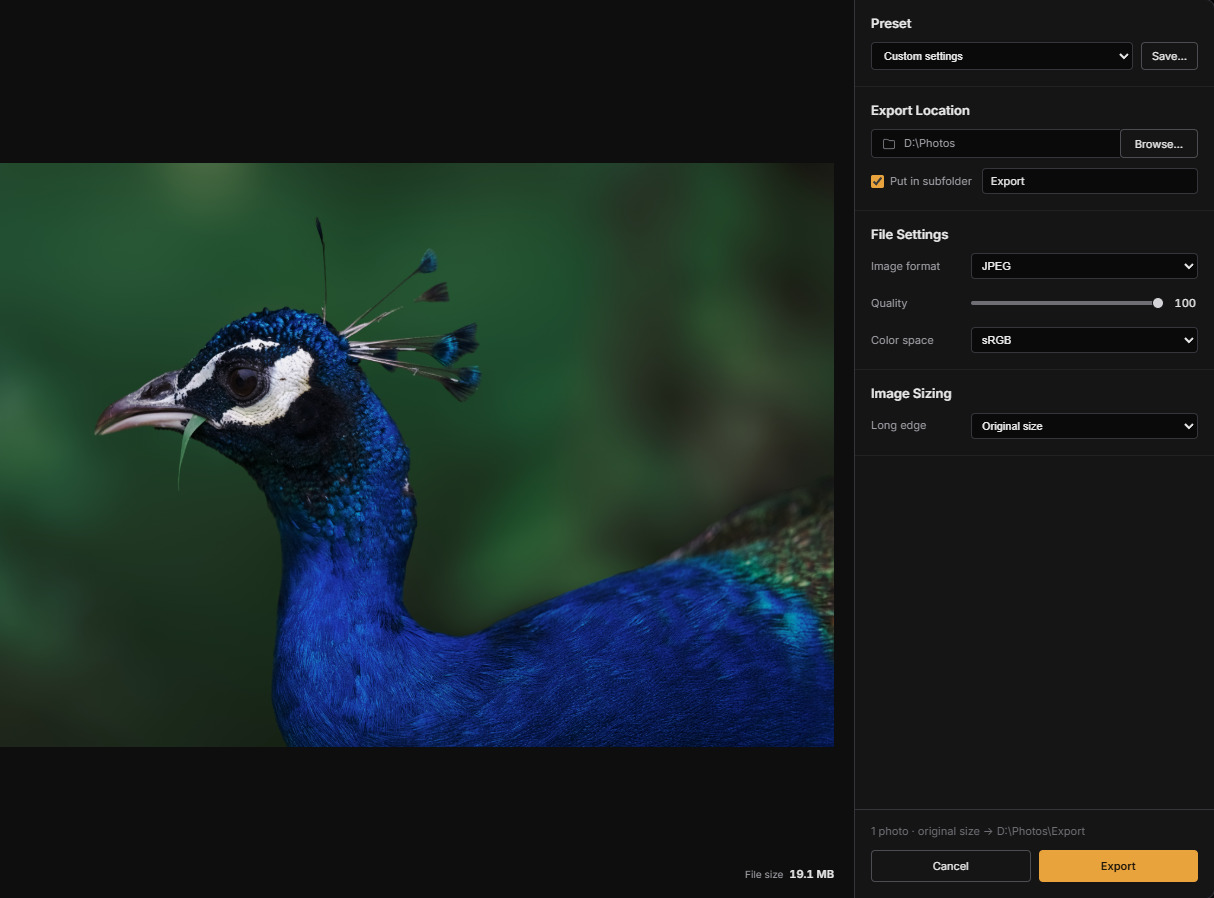 Raelux’s Export dialog for the peafowl, set to write one photograph at its original size into D:\Photos\Export, with its Cancel and Export buttons